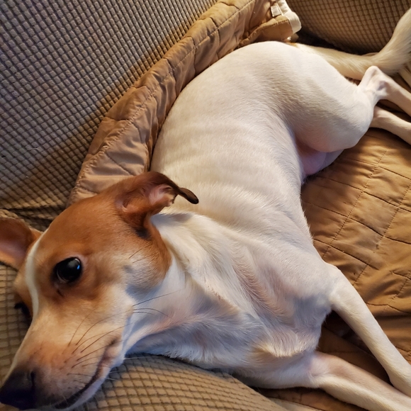 None - Picture 10 of 16